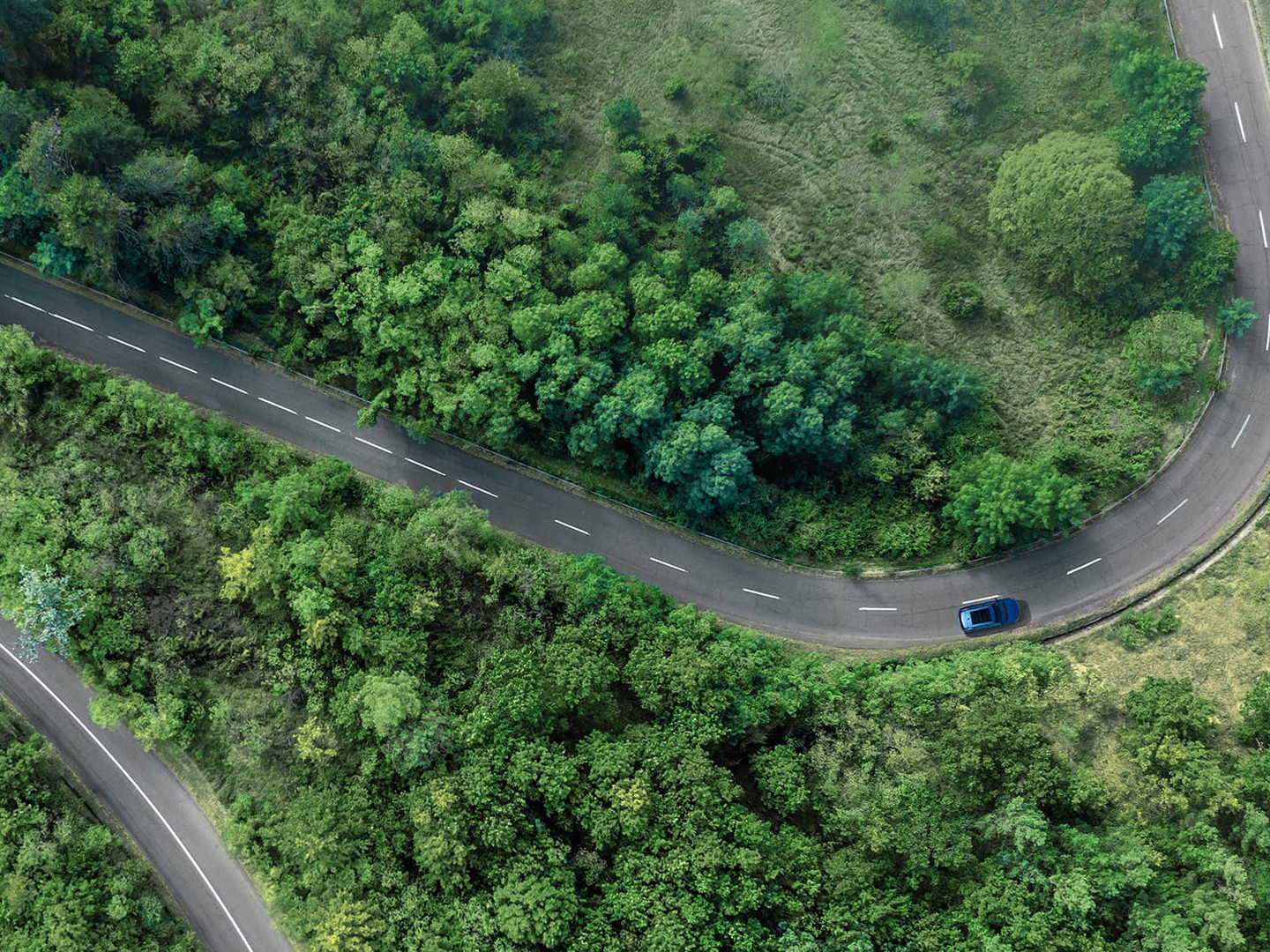 Ripresa dall'alto di BYD Seal U DM-i su una strada circondata da boschi