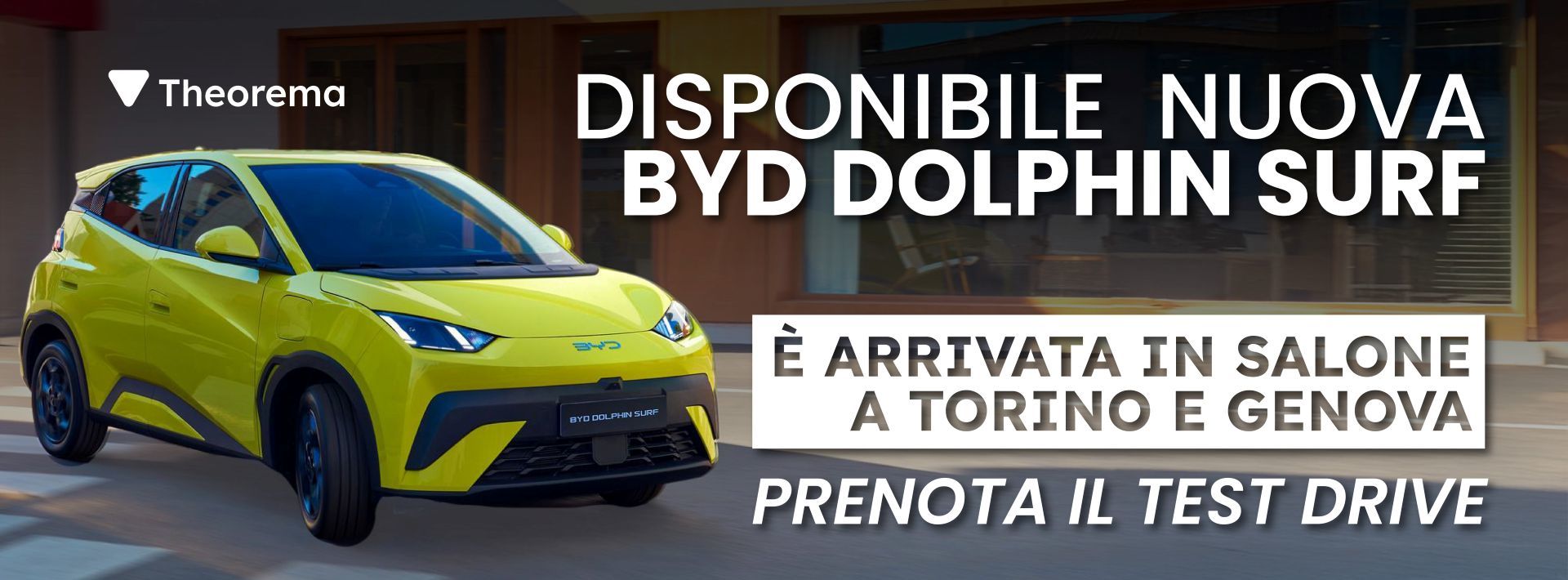 Banner Dolphin Surf